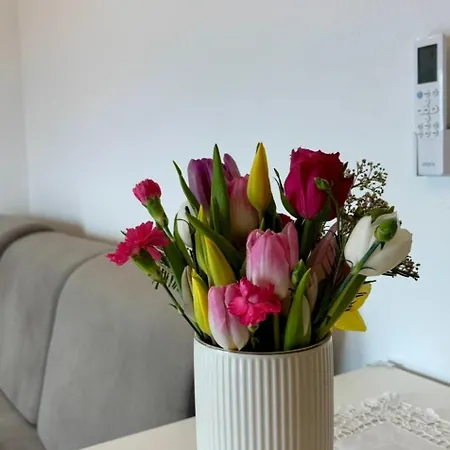 Apartmán Bugenvila Brac Postira